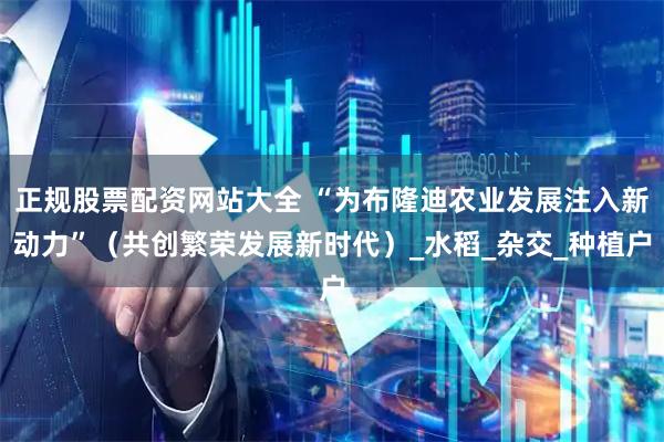 正规股票配资网站大全 “为布隆迪农业发展注入新动力”（共创繁荣发展新时代）_水稻_杂交_种植户